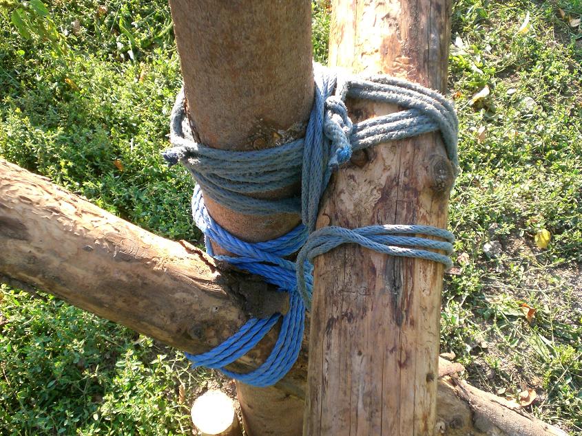 Knoten (217k image)