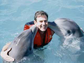 delfin_willi (21k image)